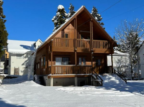 Swiss Chalet - Vacation STAY 11450v